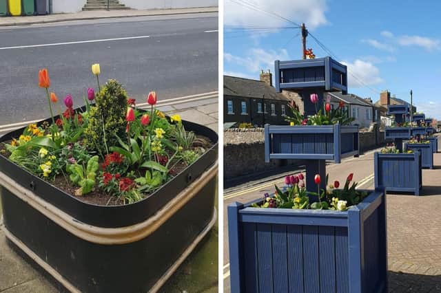 Tulips in Berwick town centre. Pictures courtesy of Berwick-upon-Tweed Town Council.