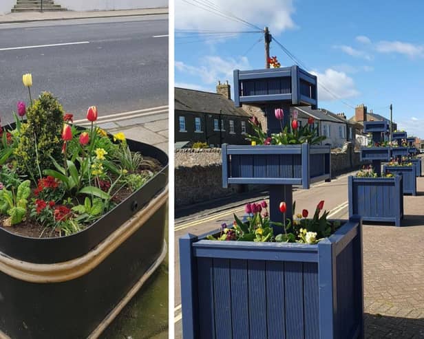 Tulips in Berwick town centre. Pictures courtesy of Berwick-upon-Tweed Town Council.