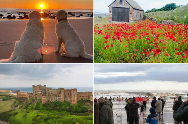 Celebrating the new year with a collection of fantastic pictures by the Northumberland Gazette readers.