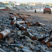 Logs scattered accross Whitley Bay beach are now being disposed off. Picture: Craig Connor/Chronicle