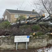 Storm Arwen damage in Northumberland.