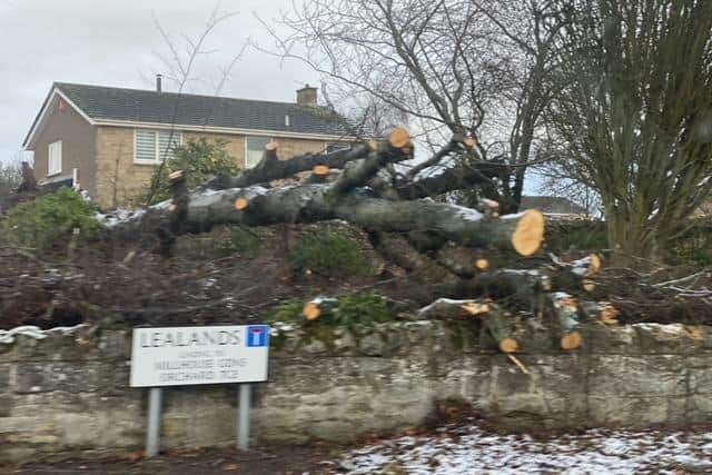 Storm Arwen damage in Northumberland.