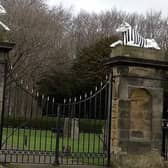 The bulls on top of the gate at Blagdon Hall have been painted black and white, as a show of support for Newcastle United who face Manchester United in the final of the Carabo Cup on Sunday.