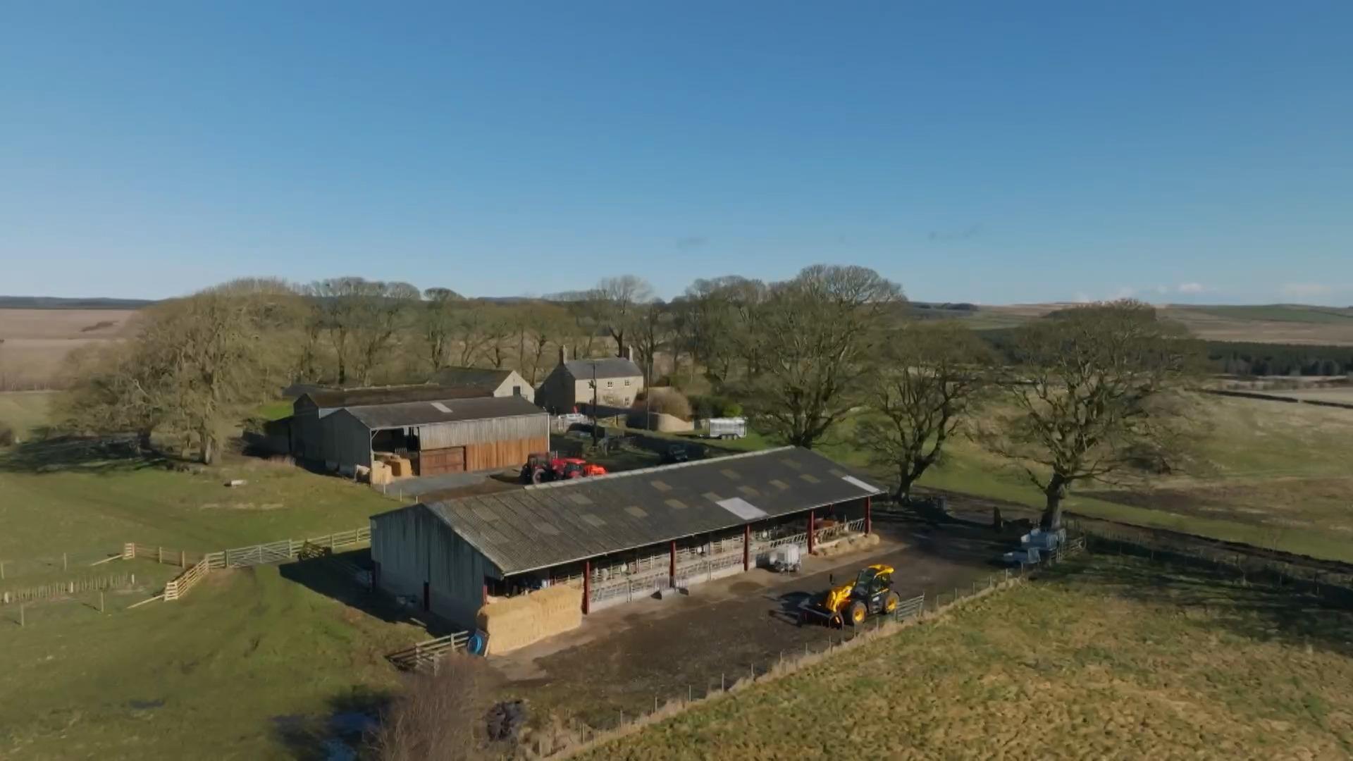 Our Dream Farm with Matt Baker: Northumberland couple wins Channel 4 TV competition to take over farm on National Trust's Wallington estate - Vimarsana News