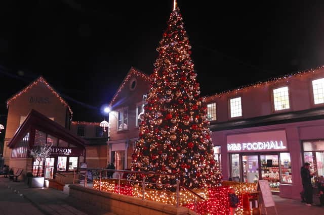 Morpeth Rotary Club's Tree of Light. Picture by Anne Hopper.