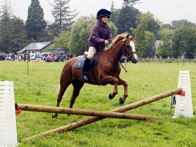 Ingram Show 2015 Ruby Smails on Swift.