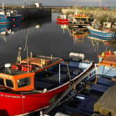 Seahouses harbour.