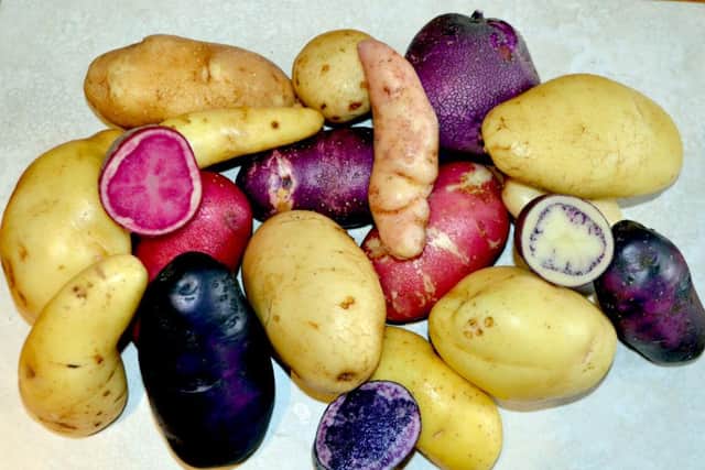 Carroll's Heritage Potatoes.