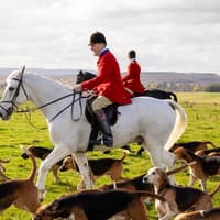 Alnwick's Percy Hunt hosts trail hunting event as it rallies against potential ban