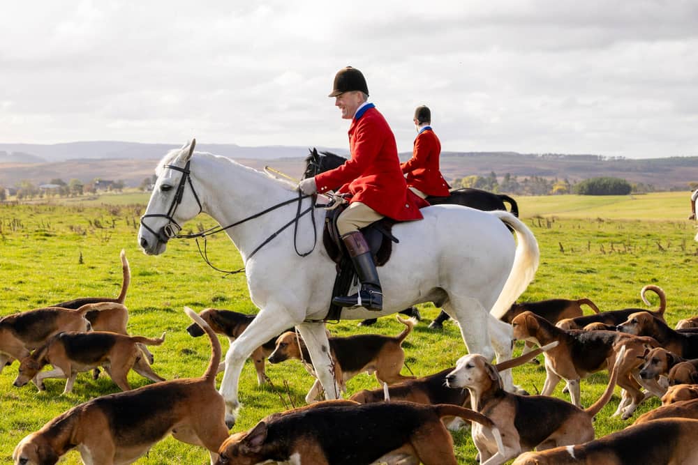 The Percy Hunt at a trail hunting event at South Charlton Farm, near Alnwick. Picture: Verity Johnson