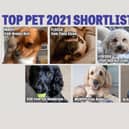 Who will get your vote to be crowned Northumberland Gazette Top Pet champion?