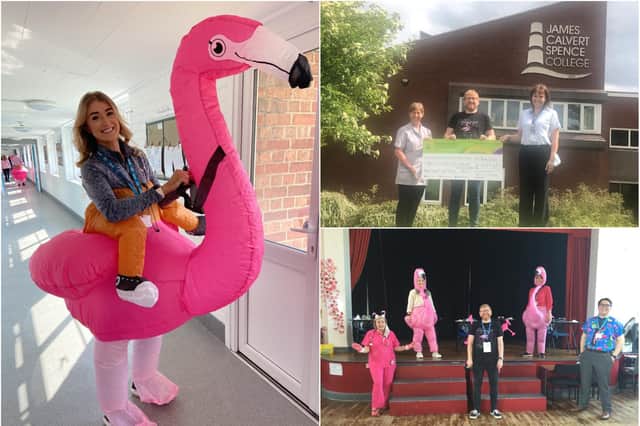 A flamingo-themed fundraiser celebrated the life of former JCSC teacher Rachel Parks.