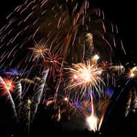 Alnwick vet offers fireworks advice to dog owners ahead of Bonfire Night