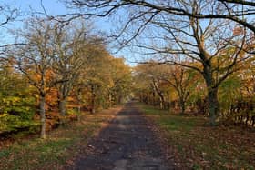 The Drive is described by the Netherton Park Residents’ Association as ‘a beautiful tree-lined avenue’.