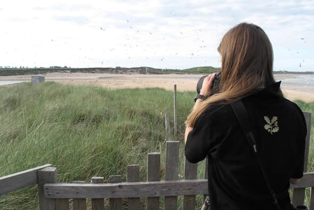 A National Trust warden helping to protect little terns at the Long Nanny site.