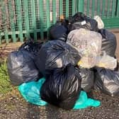 The final pile of bags filled on the litter blitz.