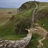 The Sycamore Gap tree has been sat precariously on Hadrian's Wall since it was felled a fortnight ago. (Photo by Jeff J Mitchell/Getty Images)