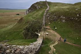 The Sycamore Gap tree has been sat precariously on Hadrian's Wall since it was felled a fortnight ago. (Photo by Jeff J Mitchell/Getty Images)