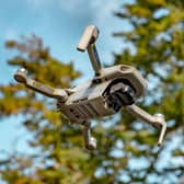 Drone technology for use in forestry management.