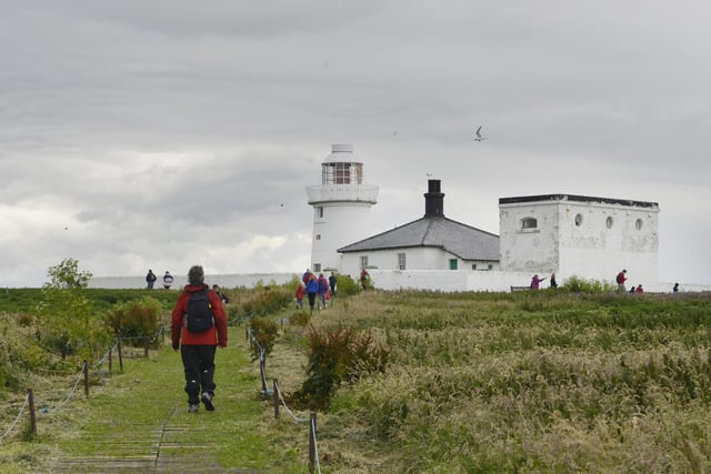 The Farne Islands will at times have an abundance of nesting birds, including the iconic puffin and Arctic terns.