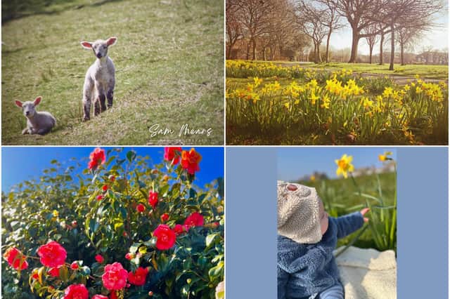 Some of your pictures to celebrate the spring season.