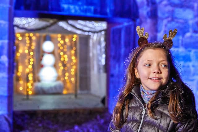 The Christmas lights trail is returning to The Alnwick Garden.