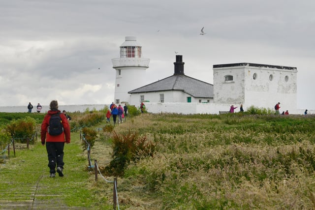 TripAdvisor says: 'A group of islands on the very north-east of England which represent one of the greatest dangers to shipping around the entire British Isles.' They are associated with the story of Grace Darling and her rescue of survivors from the wreck of the Forfarshire. The islands have no permanent population, the only residents being National Trust assistant rangers during part of the year and an abundance of nesting birds, including the iconic puffin and Arctic terns, as well as a healthy population of seals. Trips to Inner Farne from Seahouses have resuming after being closed at the height of the pandemic.