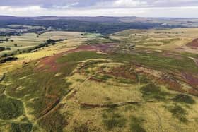 A government funding pledge has boosted plans to buy The Rothbury Estate. Picture: The Wildlife Trusts