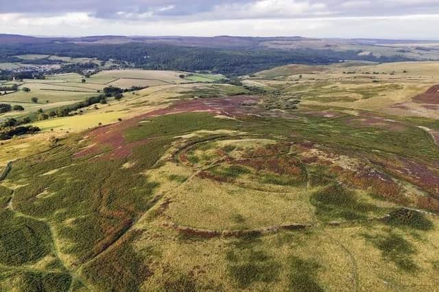 A government funding pledge has boosted plans to buy The Rothbury Estate. Picture: The Wildlife Trusts