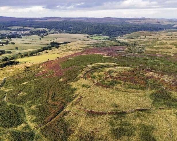 A government funding pledge has boosted plans to buy The Rothbury Estate. Picture: The Wildlife Trusts
