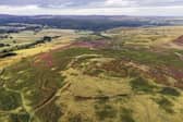 A government funding pledge has boosted plans to buy The Rothbury Estate. Picture: The Wildlife Trusts