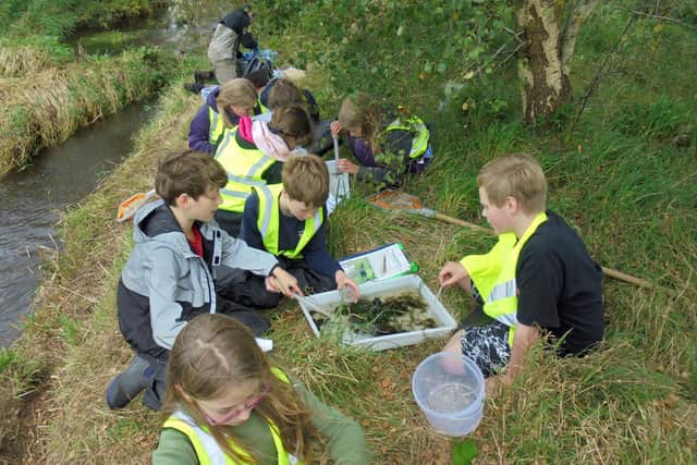 Children are introduced to river plants, insects and amphibians as part of the Tweed Foundation’s education programme.