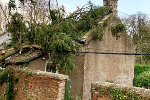 Storm Arwen caused extensive damage across Northumberland.