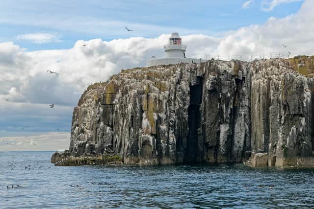 The Farne Islands have been closed for landings for two years due to bird flu. Picture: Nick Upton/National Trust