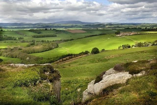Corby's Crag on the Alnwick Moor road between Alnwick and Rothbury, with unrivaled views of the Cheviots. The scene which takes in the ruined Edlingham Castle was used in the poster for the first Hobbit film. Picture by Jane Coltman.