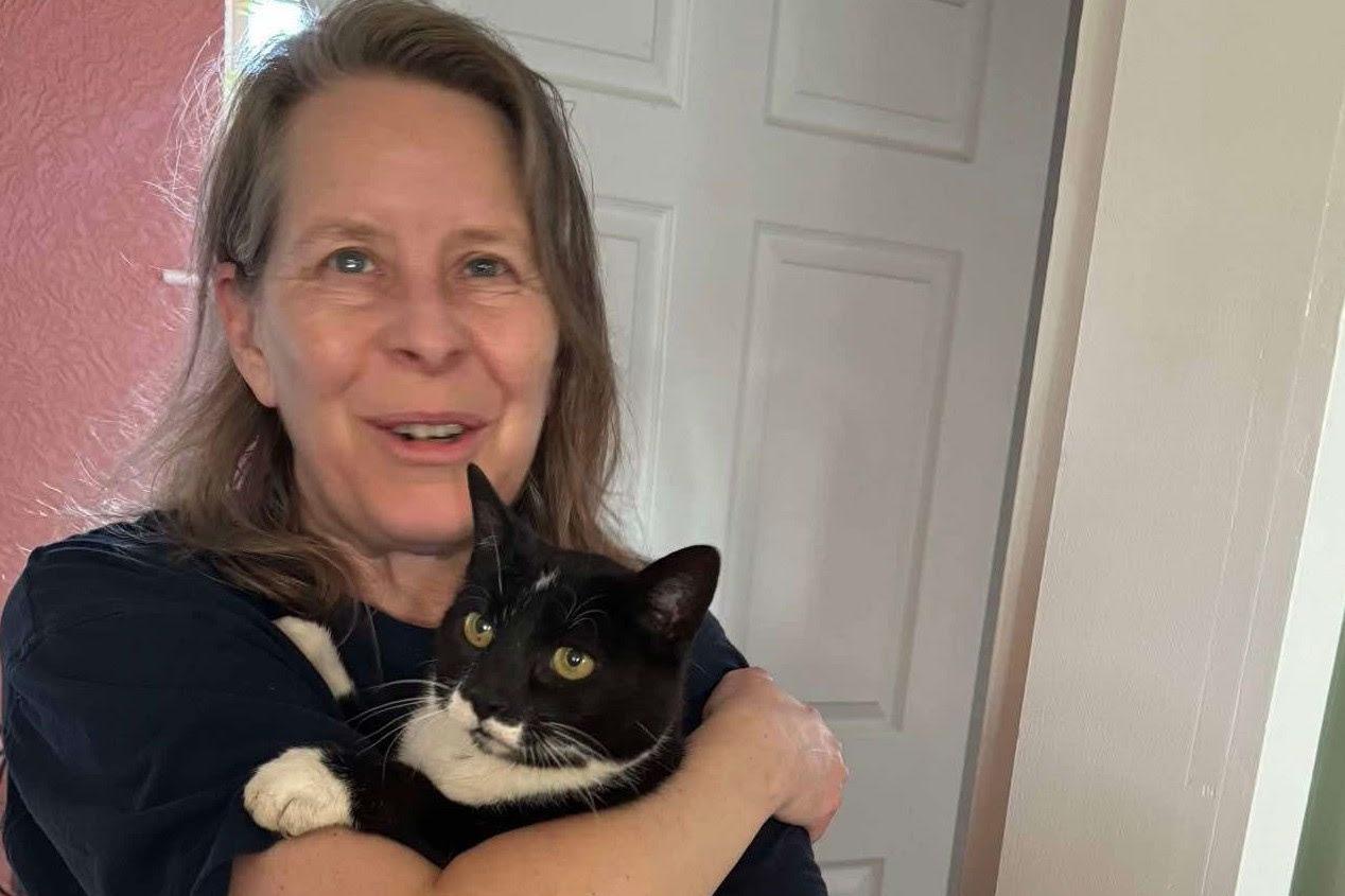 Cat missing for four years reunited with owner after being found 35 ...
