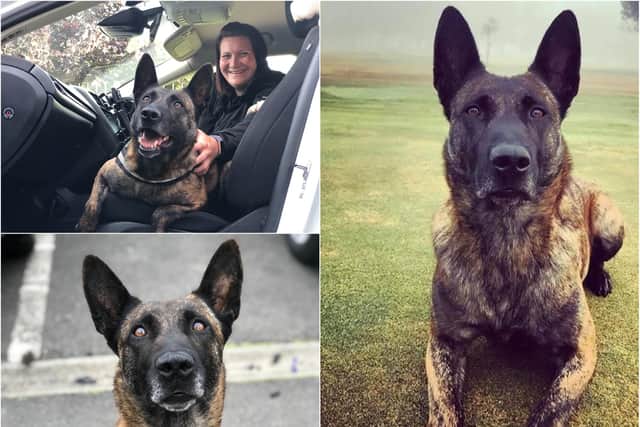Pd Ziva pictured with best friend and handler Pc Helen Kane, above left, and posing for the camera.