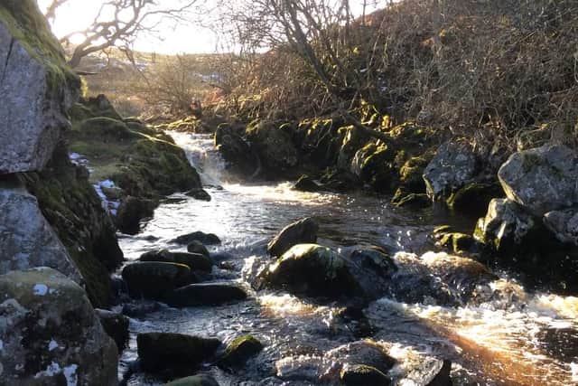 A Northumberland stream.