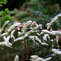 Belsay Hall welcomes 400 ceramic squirrels in response to challenges facing red squirrels