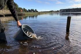 Environment Agency teams restocking fish numbers.
