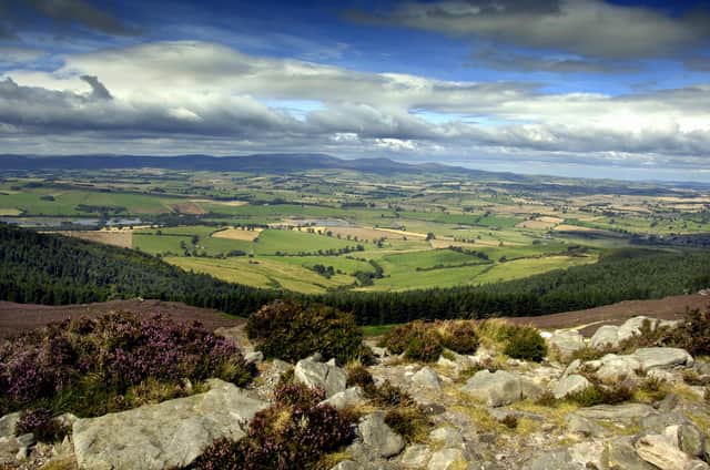 Northumberland's natural resources help absorb carbon dioxide in the atmosphere.