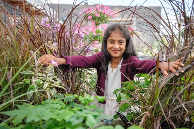 Little Seedlings Ambassador Iniya Evelyn Raj. Picture by Tony Buckingham.