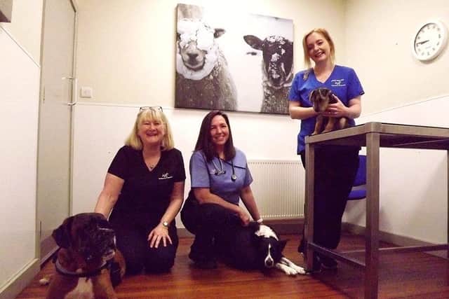 From left to right, receptionist Paula Grant, veterinary surgeon Catriona Gibson, veterinary nurse Sarah Ward, with their dogs Rocco, Obi and Arnie.