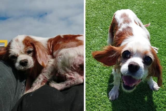 Flick pictured in July, left, and a photo of her taken last week.