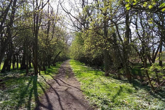 A section of the proposed Alnwick Greenway. Picture: Borderline Greenway CIC