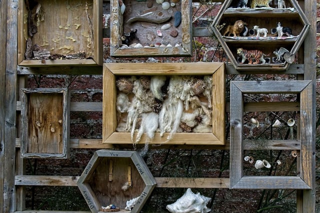 A curious display of 'treasures' at Howick Hall, photographed by Chris Goddard.