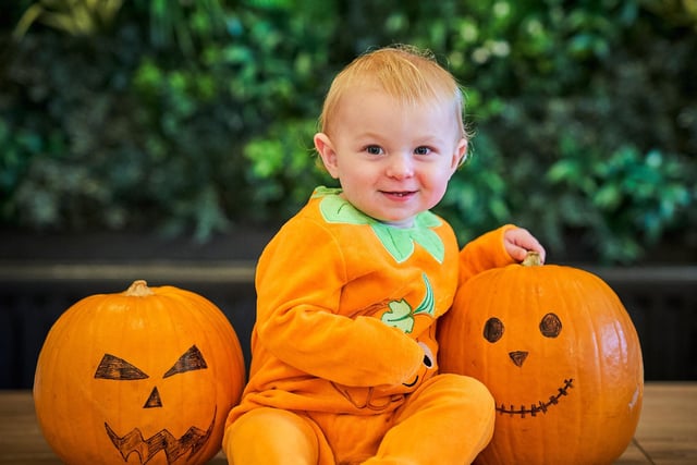 Dobbies stores in Morpeth and Ponteland are running a Little Scare-lings event at both stores between October 26 and 29. It's aimed at children aged between three and 10 and they will be able to sink their fangs into some terrifying treats, followed by pumpkin-themed activities and games before choosing their own pumpkin from the miniature patch to take home and carve. More information on Dobbies' website.