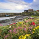A trial traffic management scheme is planned in Craster.