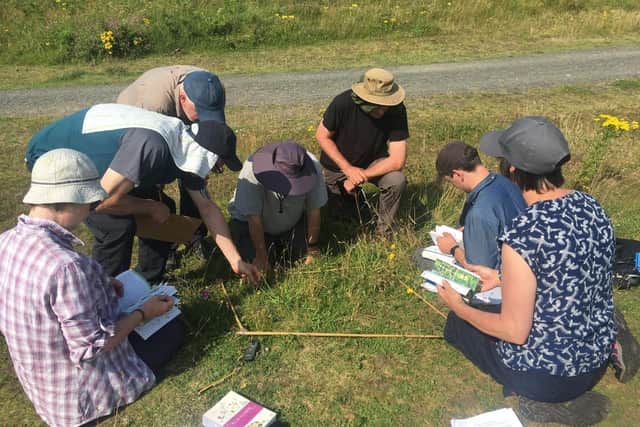 Catch My Drift project volunteers carrying out wildflower surveys.