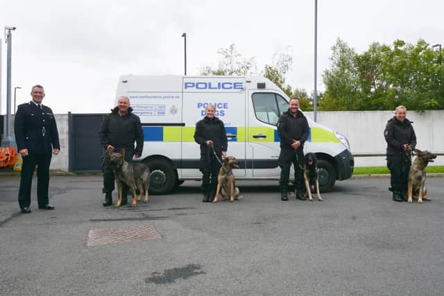 German Shepherd siblings PD Winston and PD Wren, 18 months are joined by new recruit PD Roxy, a three-year-old Belgium Malinois and PD Roscoe, a nearly two-year-old Belgium Malinois (photo: Shane Hopkins)